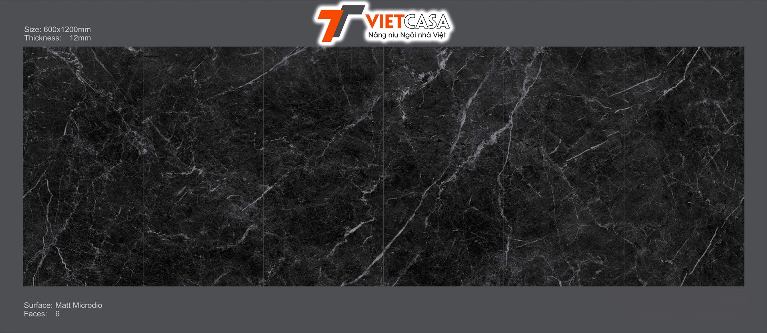 VCUS23 (Large)