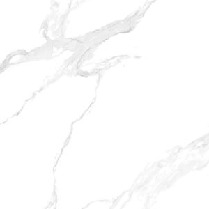 VCTH01
