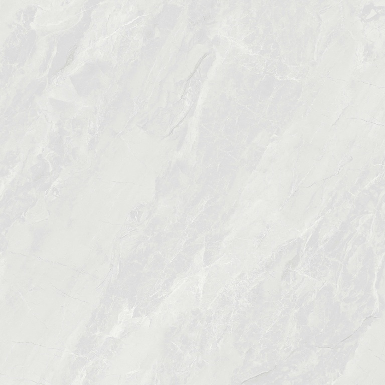 VCVR19 (2)