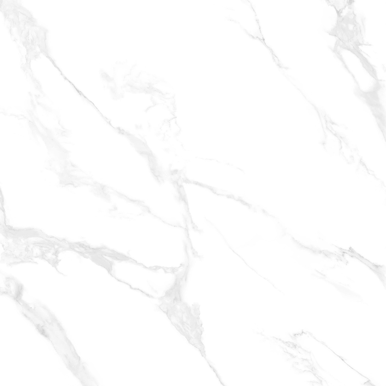 VCVR25 (1)