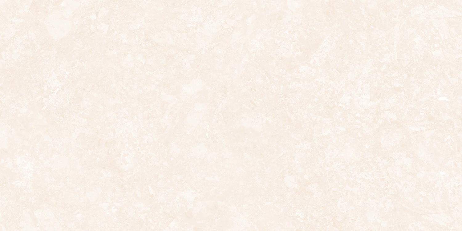 VCVR33 (1)