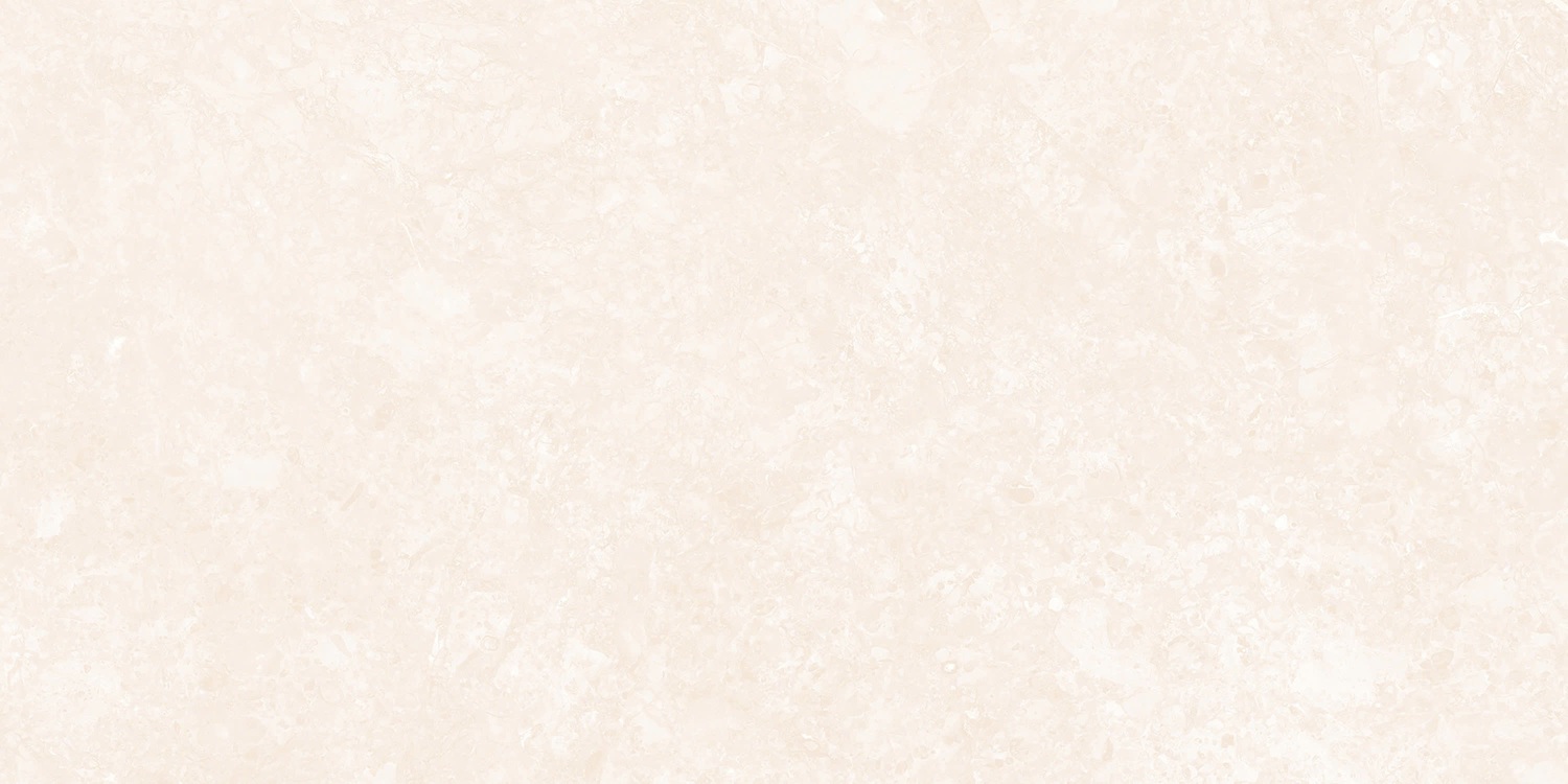 VCVR33 (4)