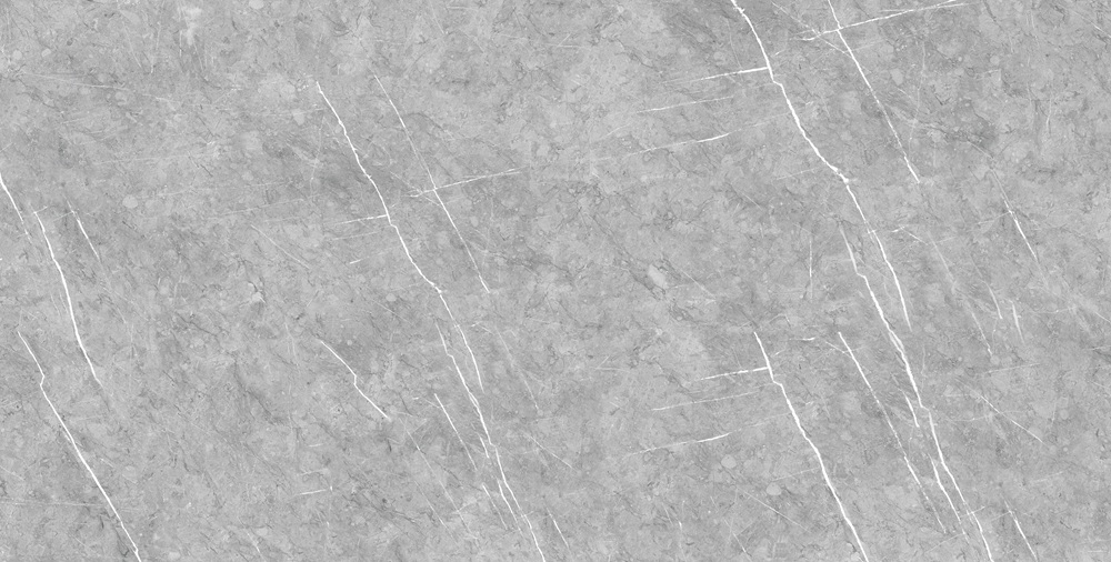VCA10 (1)