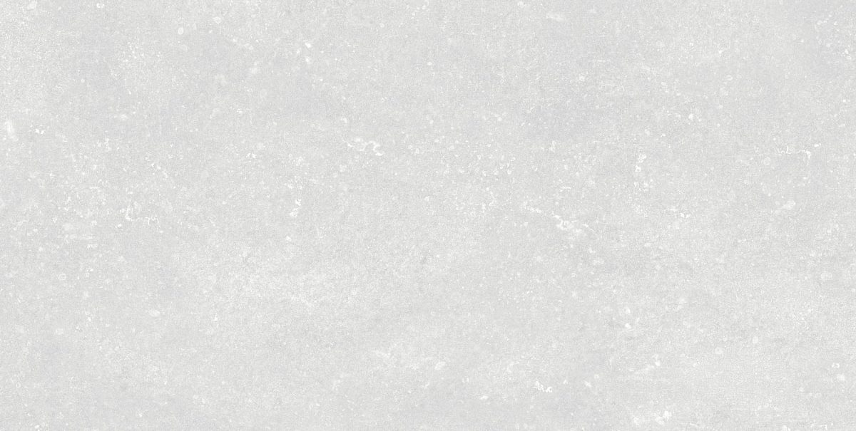 VCA109 (5)