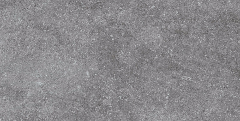 VCA110 (2)