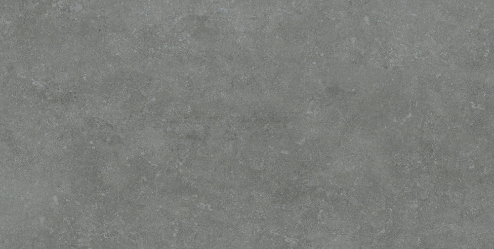 VCA145 (1)