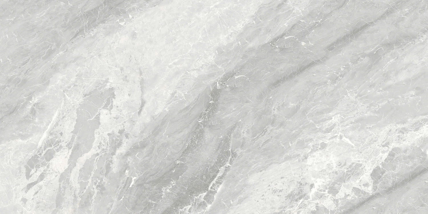 VCA26 (1)