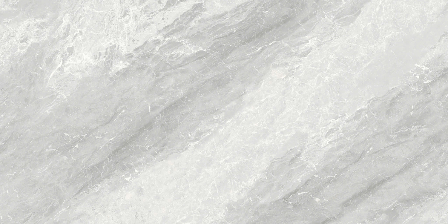 VCA26 (2)