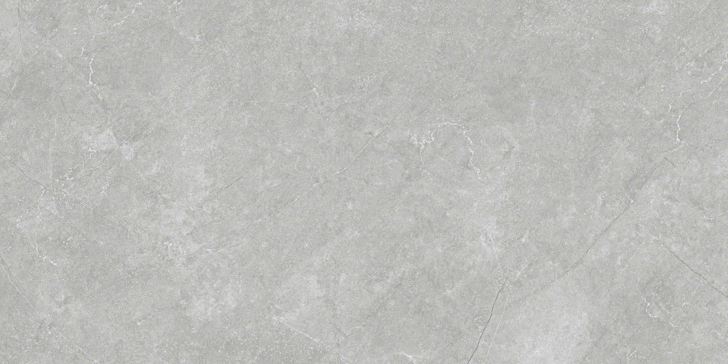 VCA27 (1)