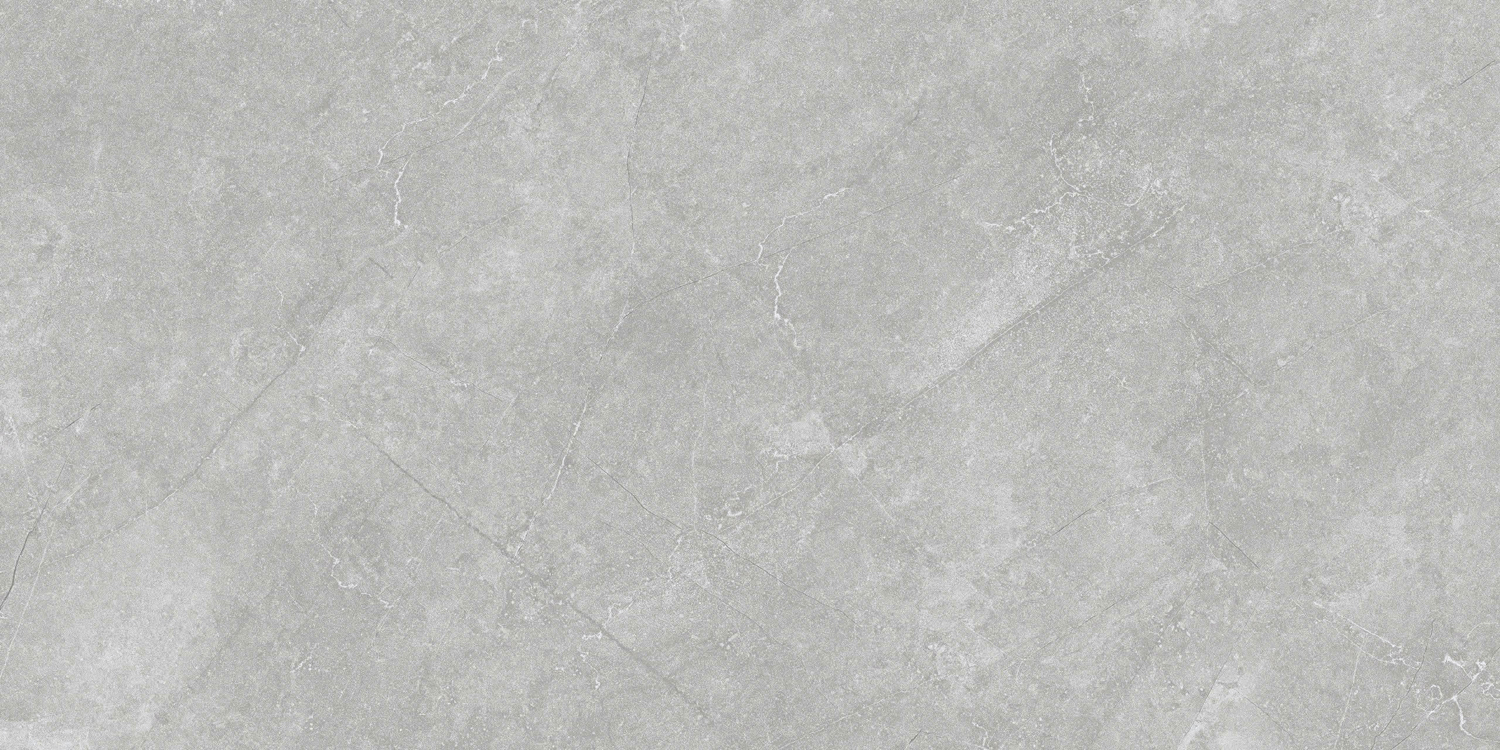 VCA27 (2)