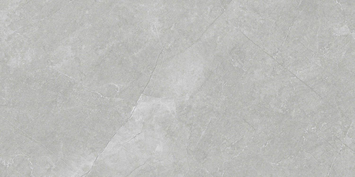 VCA27 (3)