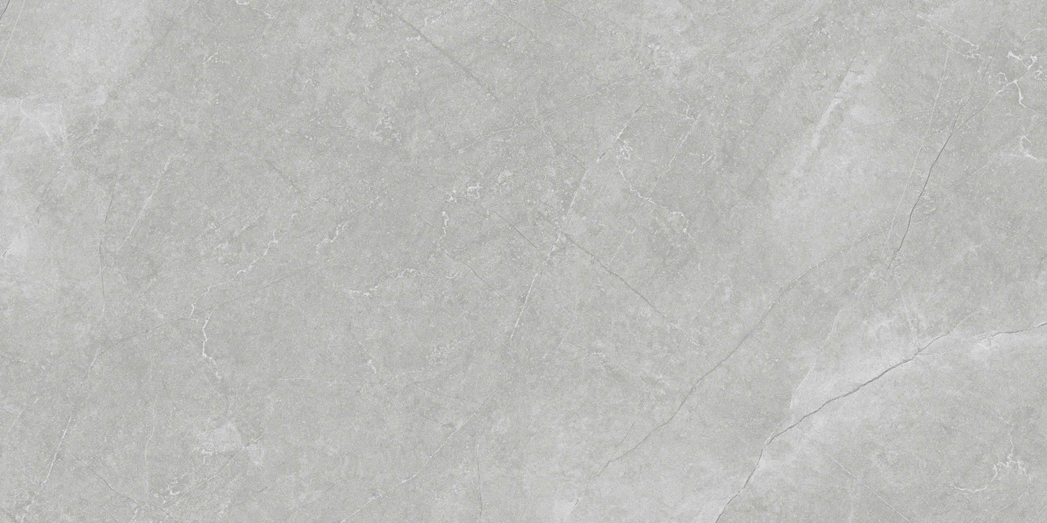 VCA27 (4)