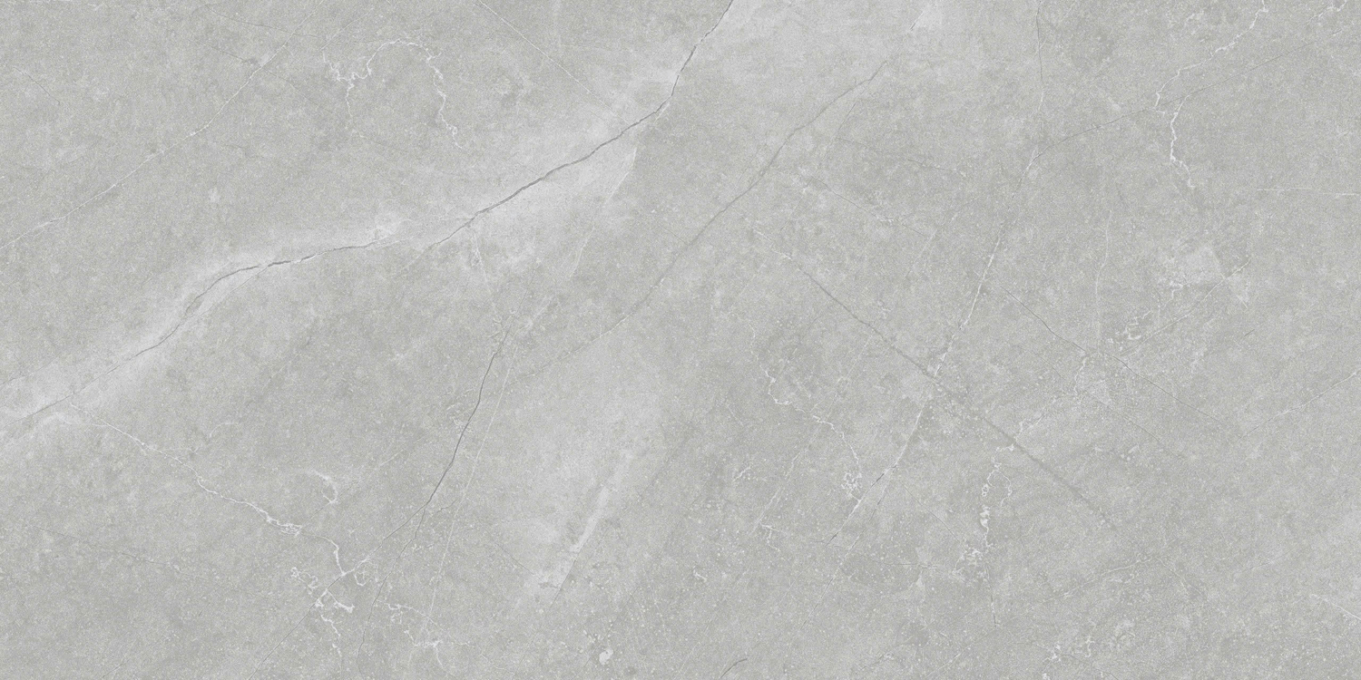 VCA27 (5)
