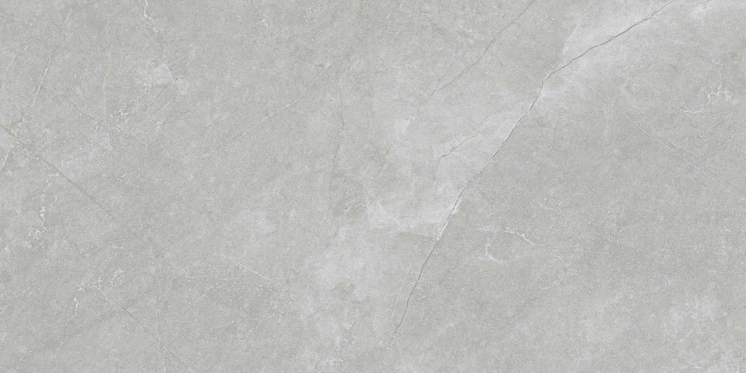 VCA27 (6)
