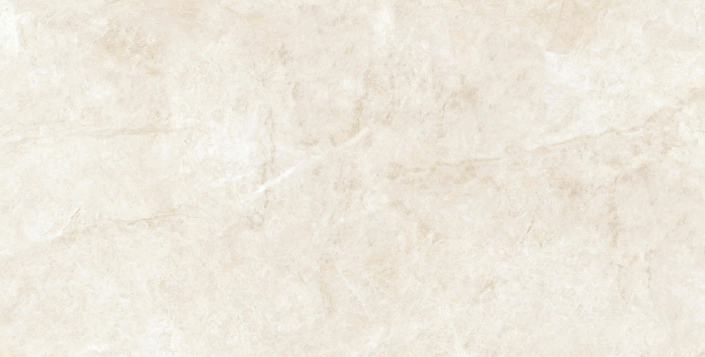 VCA31 (2)