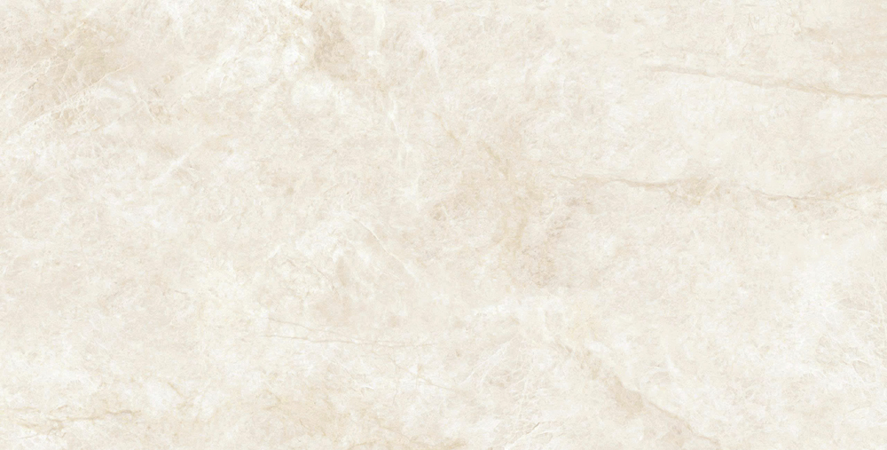 VCA31 (5)