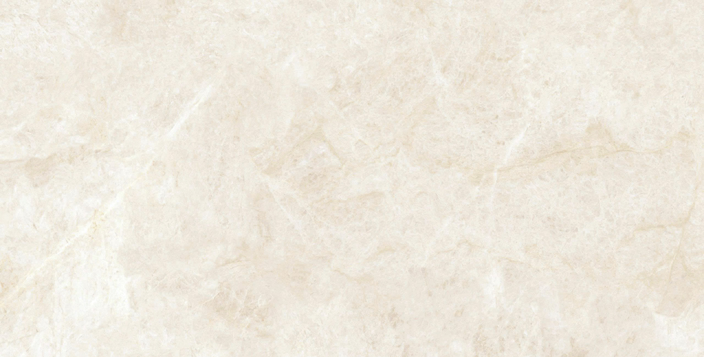 VCA31 (6)