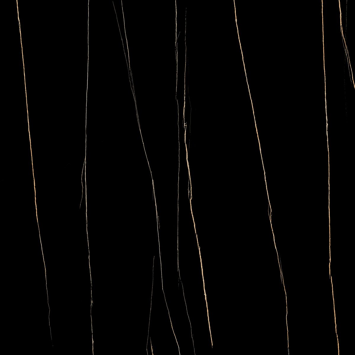 VCA43 (3)