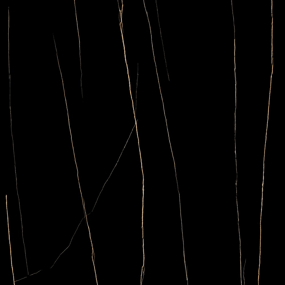 VCA43 (6)
