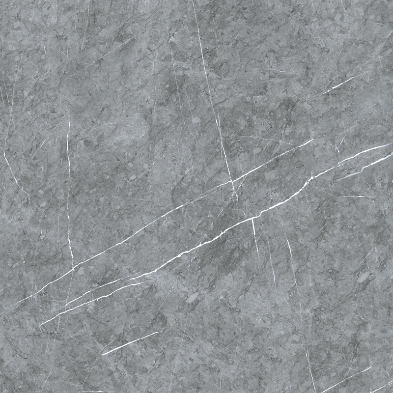 VCA44 (1)
