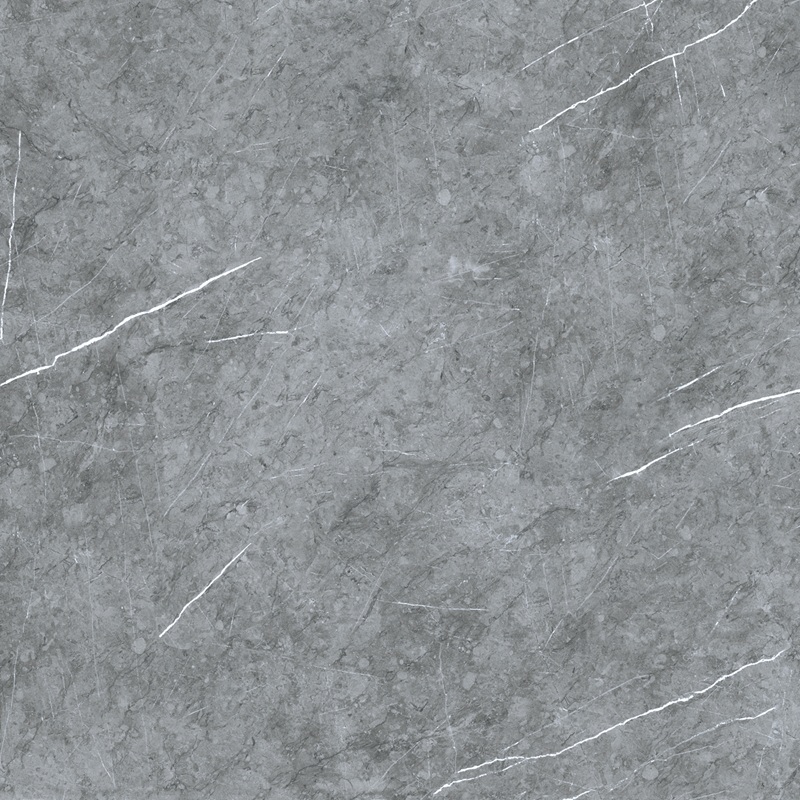 VCA44 (4)