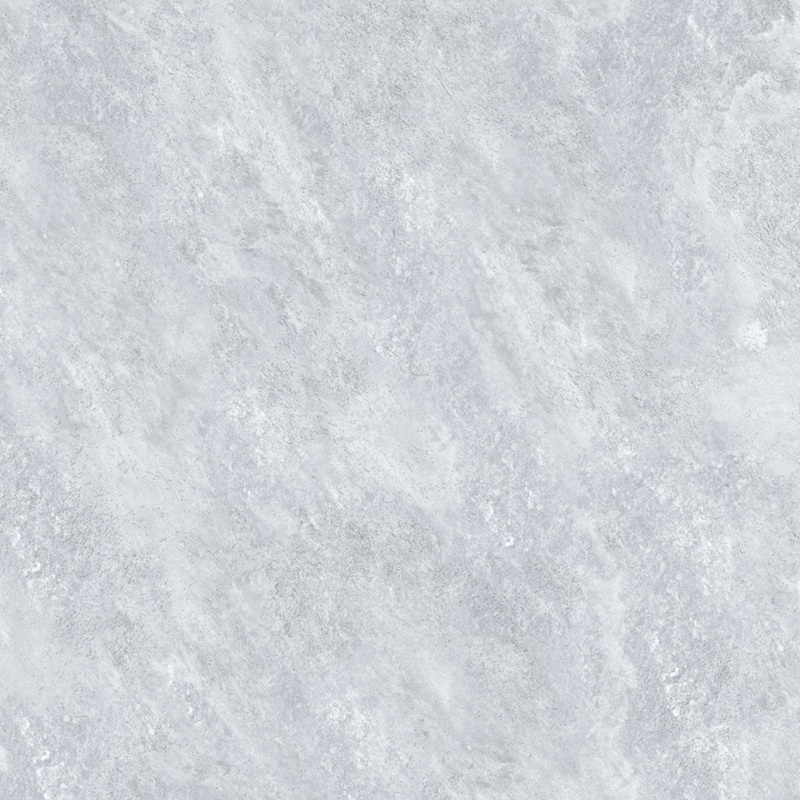 VCA50 (1)