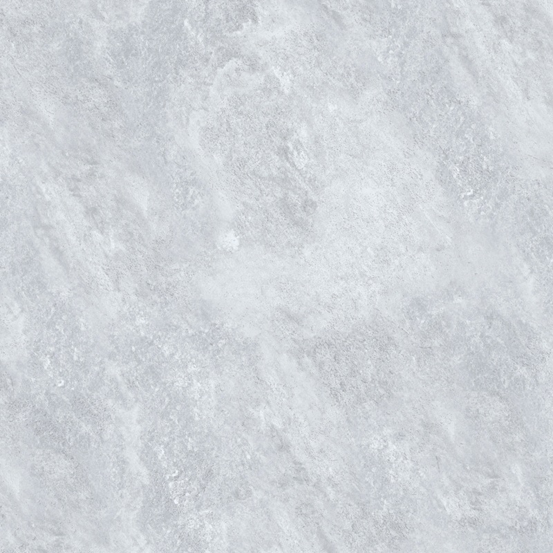VCA50 (2)