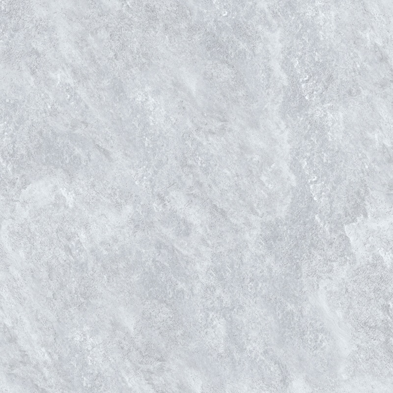 VCA50 (4)
